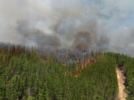 Fiscal dijo que el incendio en Puerto Patriada “se inició con un acelerante o nafta”