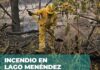 Por los incendios, la Cámara de Turismo del Chubut pidió la renuncia del intendente del Parque “Los Alerces”
