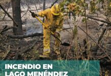 Continía activo el incendio en el Parque Los Alerces: las altas temperaturas dificultan las tareas