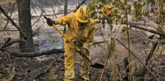 Piden que se investigue la posible comisión de delitos en el incendio del Parque “Los Alerces”