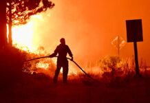 Ministra de Seguridad sobre los incendios: “A cualquiera que lo provoque, lo vamos a buscar, lo vamos a encontrar y va a pagar”