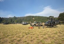 Incendio del Parque Nacional Los Alerces: se trabaja en múltiples frentes a la espera de lluvia