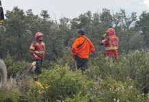 El incendio del Parque Nacional Los Alerces sigue sin ingresar al ejido de Esquel