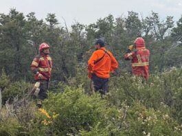 Incendio del Parque Los Alerces: este viernes sigue el despliegue para que el fuego no ingrese al ejido de Esquel
