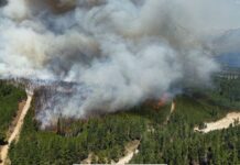 La FECh advierte por posibles intereses económicos detrás de los incendios en la Comarca Andina