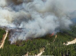 Avance del fuego: el incendio de Patriada ya quemó 12 mil hectáreas