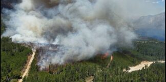 Avance del fuego: el incendio de Patriada ya quemó 12 mil hectáreas