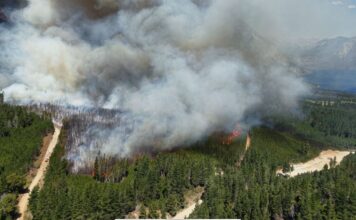 Avance del fuego: el incendio de Patriada ya quemó 12 mil hectáreas