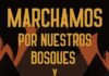 Convocan a marchar en Esquel en defensa de los bosques y en apoyo a los brigadistas