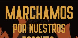 Convocan a marchar en Esquel en defensa de los bosques y en apoyo a los brigadistas