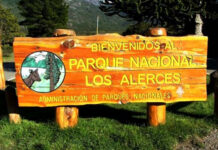 Desplazan al intendente del Parque: “Se consideró necesario adoptar medidas inmediatas de carácter organizacional”, argumentan desde la Administración Nacional