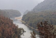 Llegaron más bomberos de Chile para combatir el incendio en el Parque Los Alerces