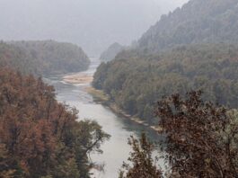 Llegaron más bomberos de Chile para combatir el incendio en el Parque Los Alerces