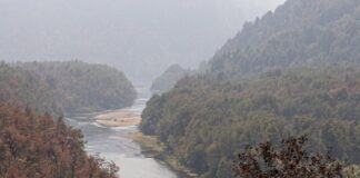 Llegaron más bomberos de Chile para combatir el incendio en el Parque Los Alerces