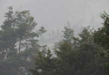 Incendio en el Parque: esperan un miércoles de “condiciones extremas”