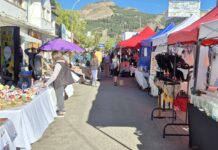 Llega una nueva edición de la Peatonal y Domingo de Plaza en la ciudad