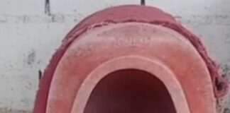 Avanza en la justicia la investigación por un caso de violencia de género y crueldad y animal