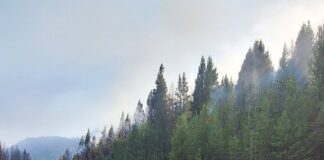 Continúa habilitada la Ruta 40 entre Epuyén y El Hoyo: circular con extrema precaución