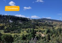 Incendios en la cordillera: Salud brindó recomendaciones para el cuidado de la salud