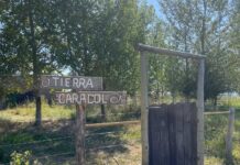Tierra Caracol, un viaje vivencial de agroturismo, permacultura y bienestar