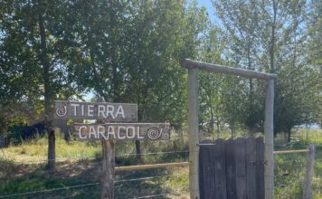 Tierra Caracol, un viaje vivencial de agroturismo, permacultura y bienestar