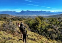 Trevelin fue seleccionado para fortalecer su promoción digital