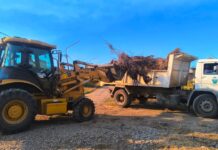 Emergencia ígnea: en Trevelin, realizan trabajos de limpieza y retiro de desechos forestales