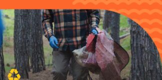 Verano Seguro: Provincia brinda recomendaciones para garantizar un turismo responsable durante esta temporada