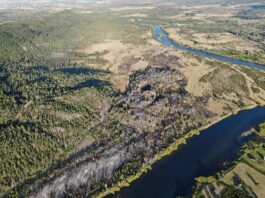 Los Alerces: sigue el combate contra el fuego en La Tapera y Puerto Café