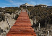 El Área Natural Protegida Península Valdés se prepara para la nueva temporada de orcas