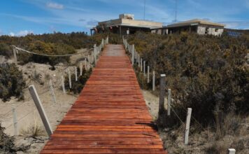 El Área Natural Protegida Península Valdés se prepara para la nueva temporada de orcas