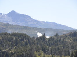 Continúa el combate del fuego en la zona sur del Parque Los Alerces