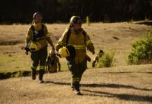 Mientras se reactiva el turismo, trabajan en puntos calientes dentro del Parque Nacional Los Alerces