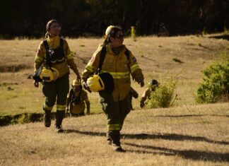 Mientras se reactiva el turismo, trabajan en puntos calientes dentro del Parque Nacional Los Alerces