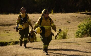 Mientras se reactiva el turismo, trabajan en puntos calientes dentro del Parque Nacional Los Alerces