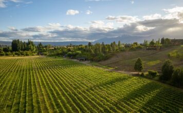 Trevelin se prepara para la Fiesta de los Viñedos