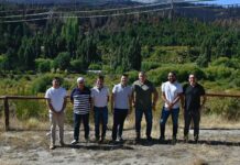 Línea Aérea Compacta de Media Tensión: Torres afirmó que se reducirá “significativamente el riesgo” de cortes de luz en la Comarca Andina