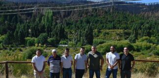 Línea Aérea Compacta de Media Tensión: Torres afirmó que se reducirá “significativamente el riesgo” de cortes de luz en la Comarca Andina