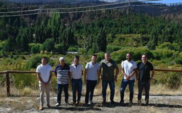 Línea Aérea Compacta de Media Tensión: Torres afirmó que se reducirá “significativamente el riesgo” de cortes de luz en la Comarca Andina