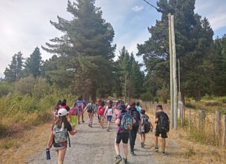 Fontana abrió las inscripciones para la Escuelita Infantil de Verano