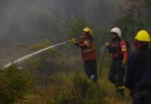 Más de 500 brigadistas siguen abocados a los incendios en la zona