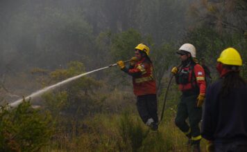 Más de 500 brigadistas siguen abocados a los incendios en la zona