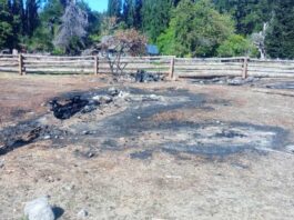 Incendios intencionales en El Turbio: secuestran un arma, combustible y restos de fauna protegida