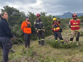 Desmienten que el incendio iniciado en el Parque Los Alerces avance hacia La Hoya