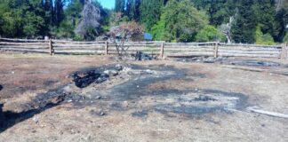Incendios intencionales en El Turbio: secuestran un arma, combustible y restos de fauna protegida
