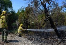 Incendios: sigue el operativo y se dispuso el cierre temporal de un tramo de la Ruta 71