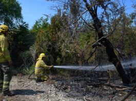 Incendios: sigue el operativo y se dispuso el cierre temporal de un tramo de la Ruta 71