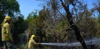 Incendios: sigue el operativo y se dispuso el cierre temporal de un tramo de la Ruta 71
