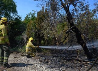 Incendios: sigue el operativo y se dispuso el cierre temporal de un tramo de la Ruta 71