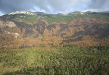 Incendio en el Parque: destacan que las lluvias de los últimos días representan un punto de inflexión en el operativo